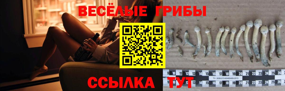 Псилоцибиновые грибы MAGIC MUSHROOMS  Вход с VPN  Петровск 