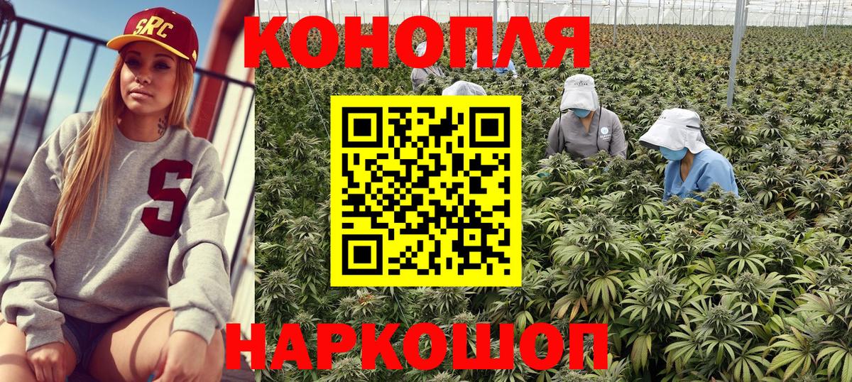 Петровск  Каннабис конопля  Шишки марихуана семена  Вход с VPN  Каннабис тримм 